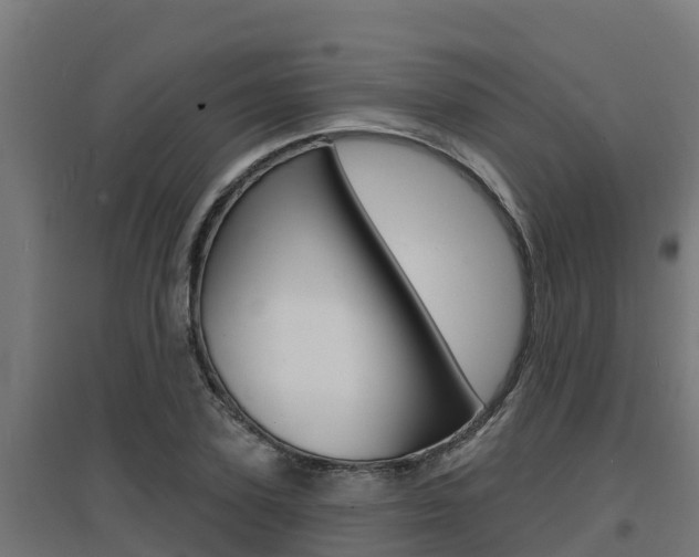 X0000097670931200802290942