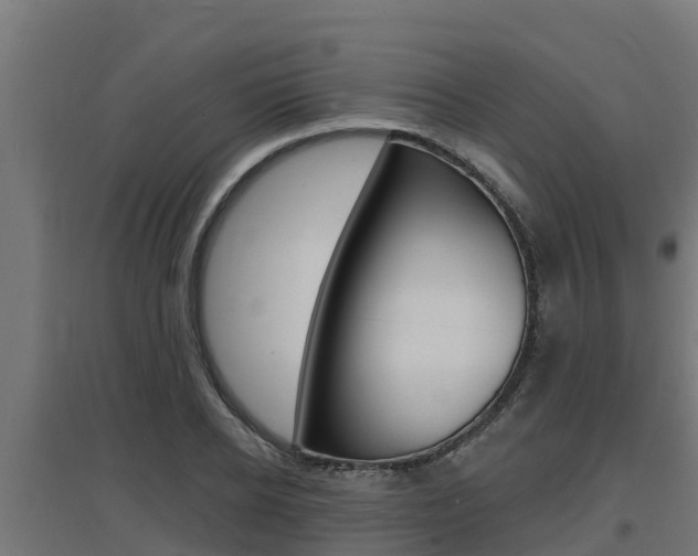 X0000097670934200802290942