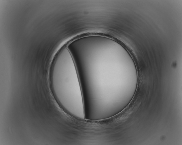 X0000097670935200802290942