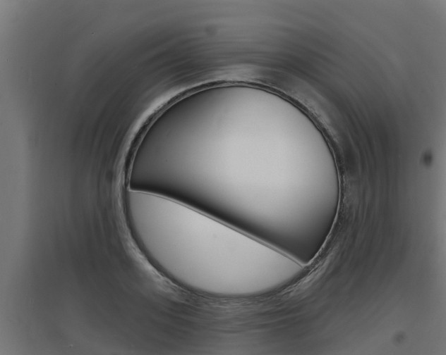 X0000097670939200802290942