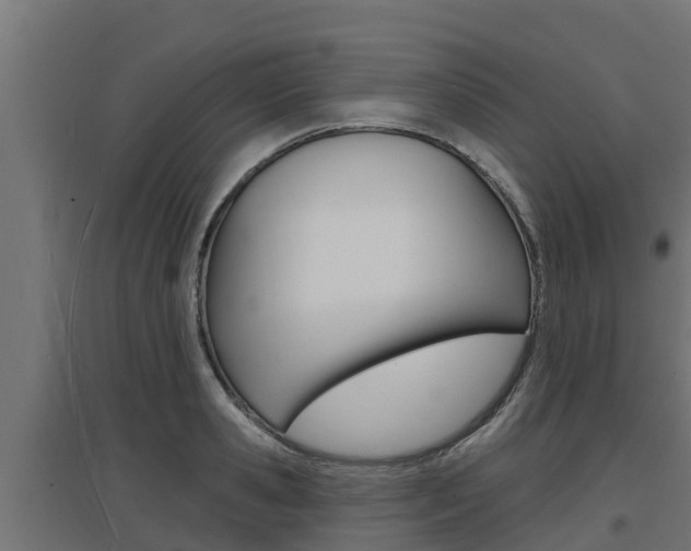 X0000097670941200802290942