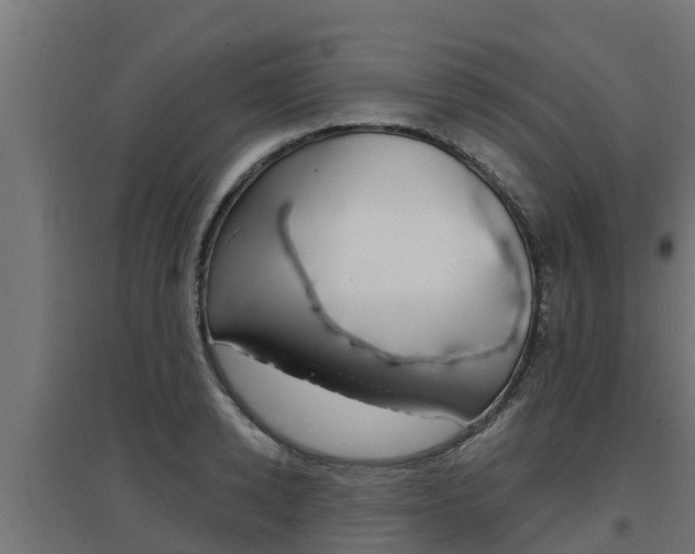 X0000097670942200802290942