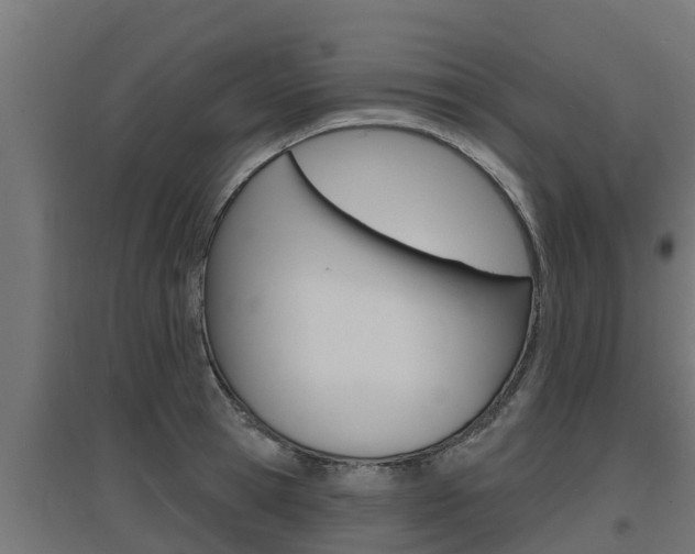 X0000097670945200802290942