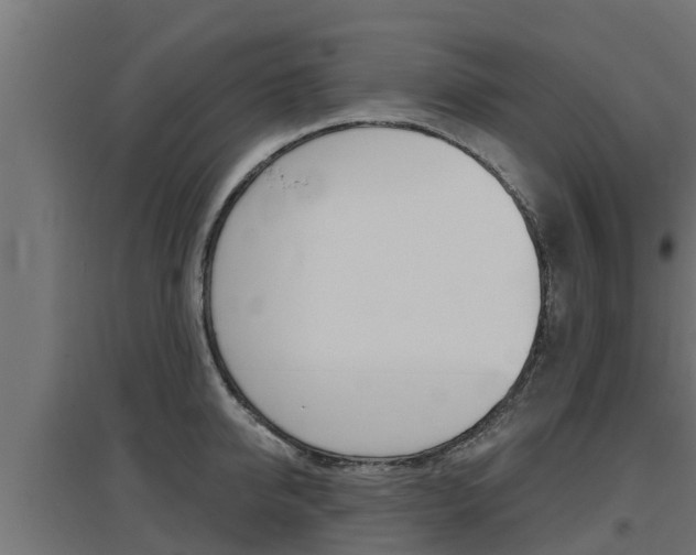 X0000097670950200802290942