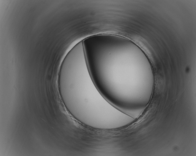 X0000097670956200802290942