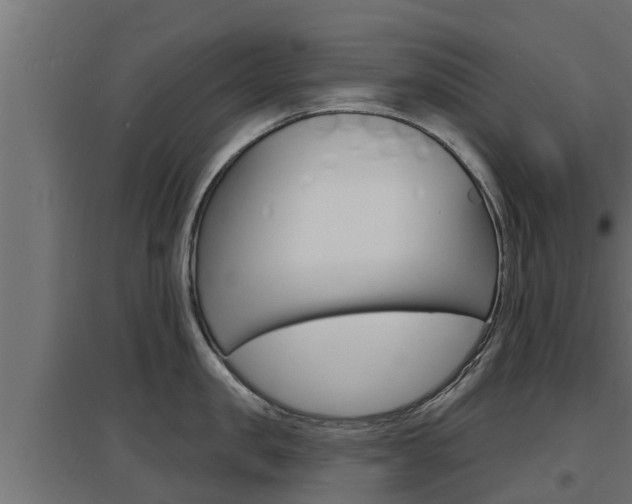 X0000097670957200802290942