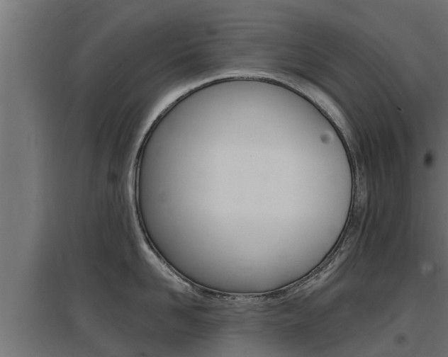 X0000097670958200802290942