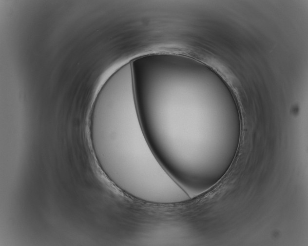 X0000097670960200802290942