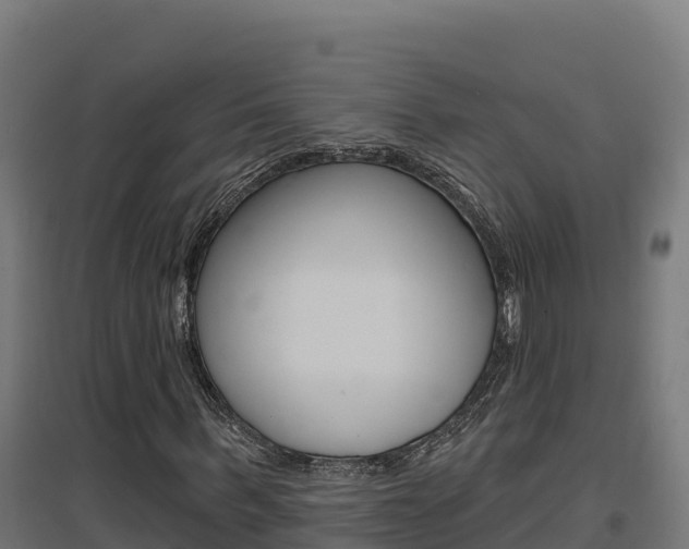 X0000097670963200802290942