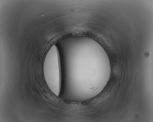 X0000097670964200802290942