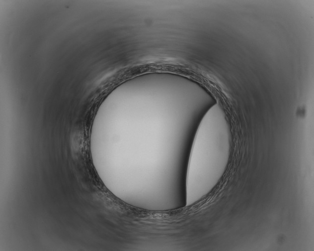 X0000097670966200802290942