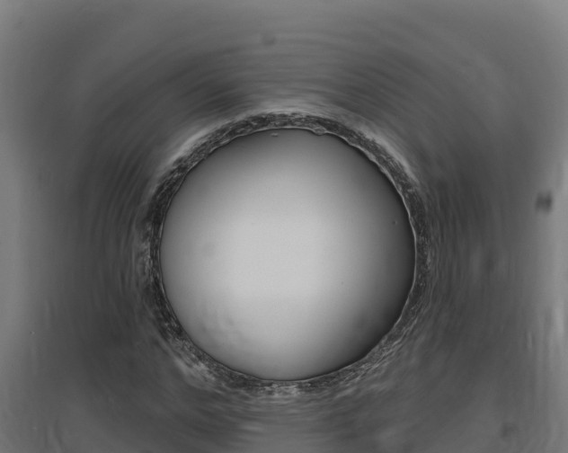 X0000097670968200802290942