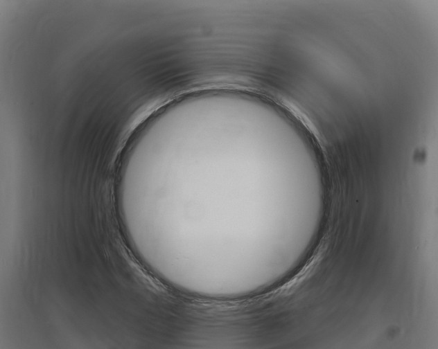 X0000097670970200802290942