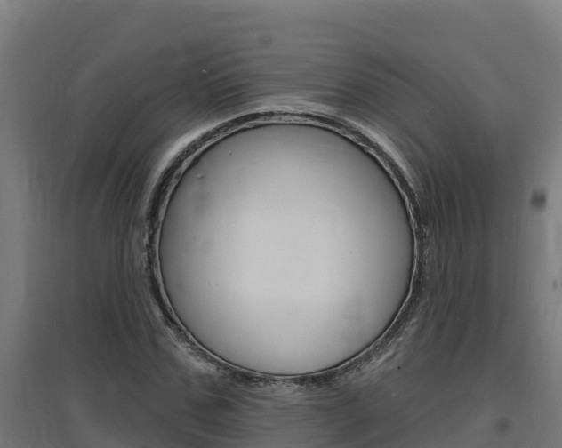 X0000097670971200802290941