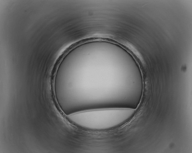X0000097670972200802290941
