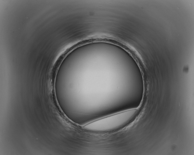 X0000097670973200802290941