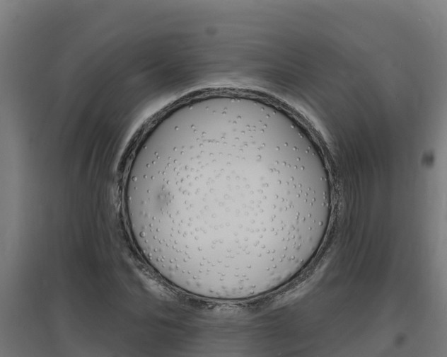 X0000097670974200802290941
