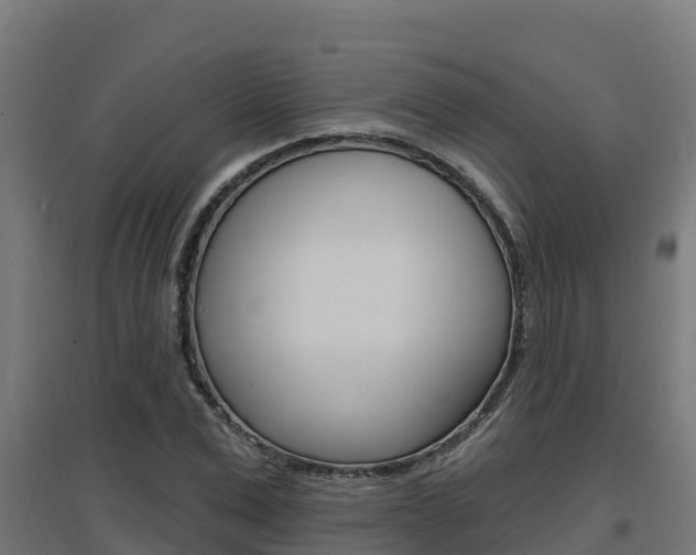 X0000097670975200802290941