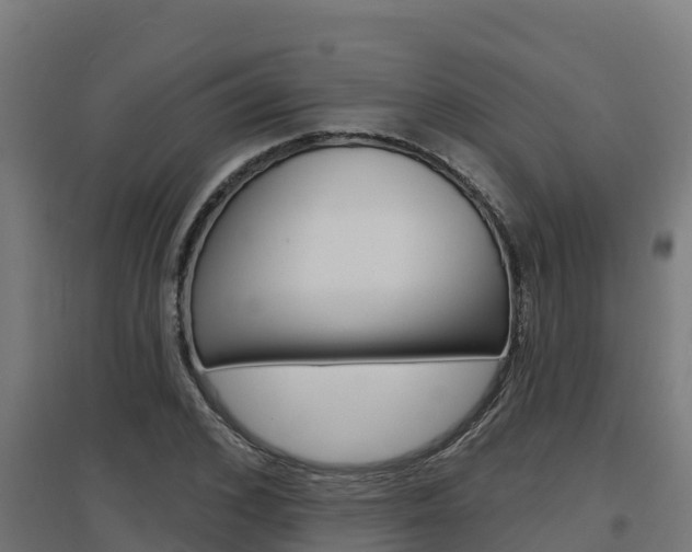 X0000097670976200802290941