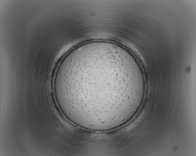 X0000097670978200802290941