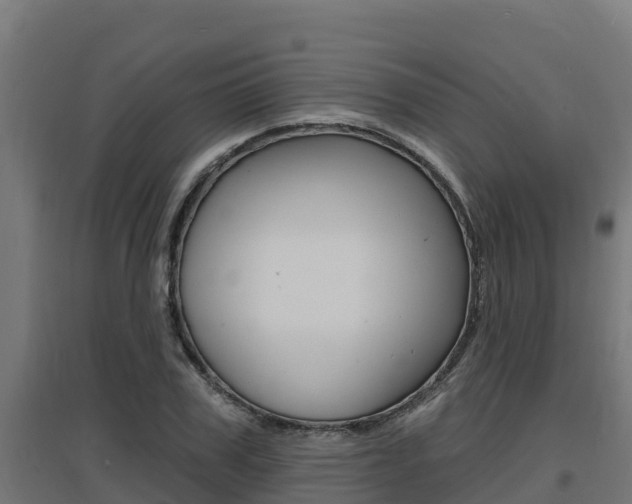 X0000097670979200802290941
