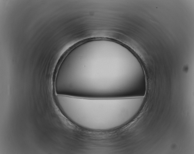 X0000097670980200802290941
