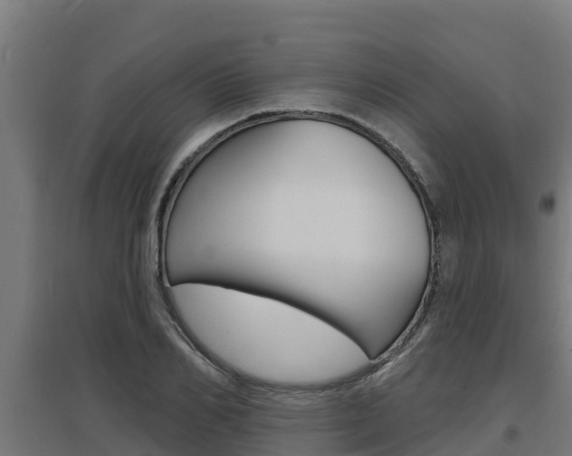 X0000097670982200802290941