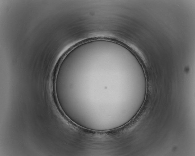 X0000097670983200802290941