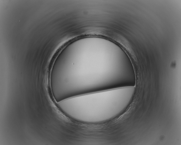 X0000097670984200802290941