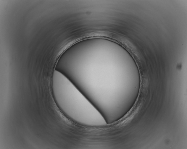 X0000097670985200802290941