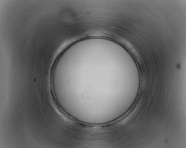X0000097670986200802290941