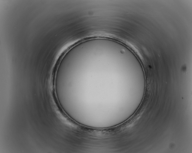 X0000097670987200802290941