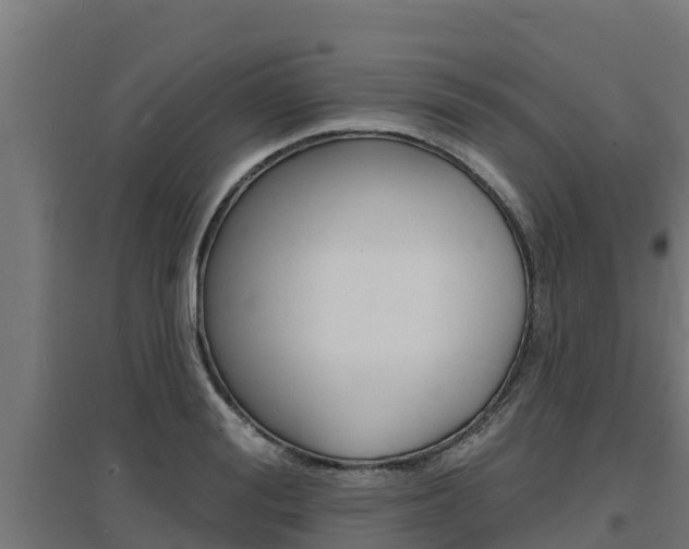 X0000097670988200802290941