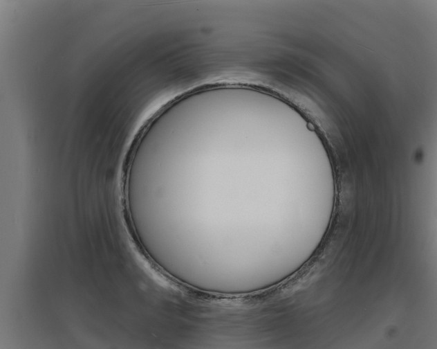 X0000097670990200802290941