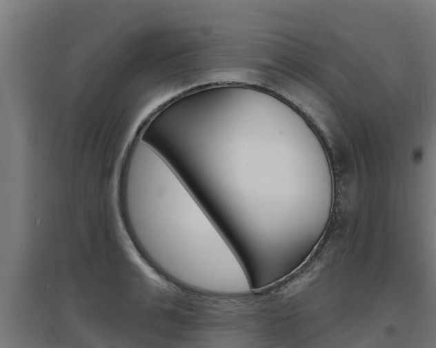 X0000097670991200802290941