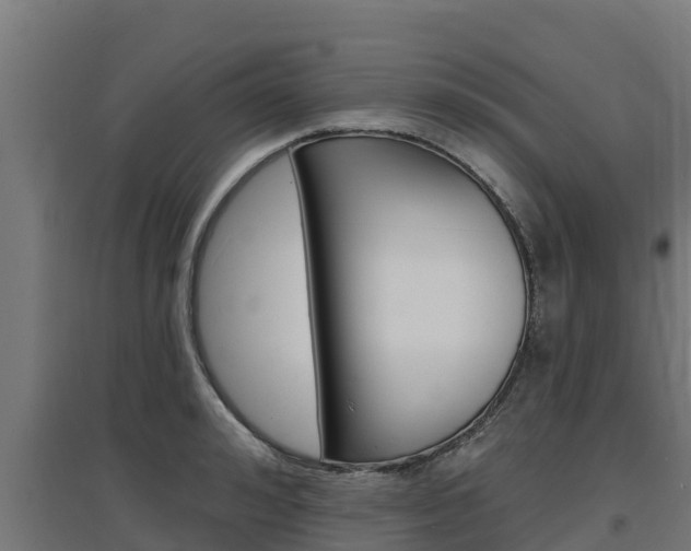X0000097670992200802290941