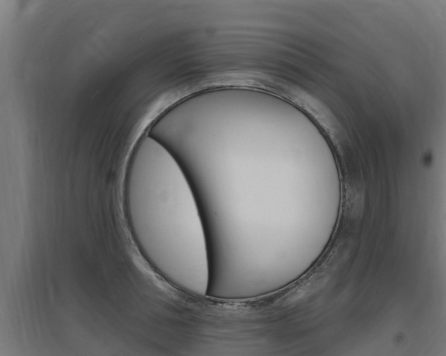 X0000097670994200802290941