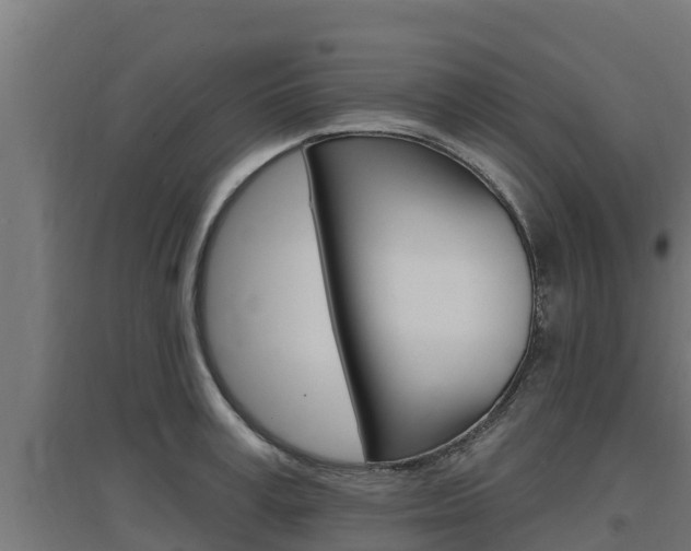 X0000097670995200802290941
