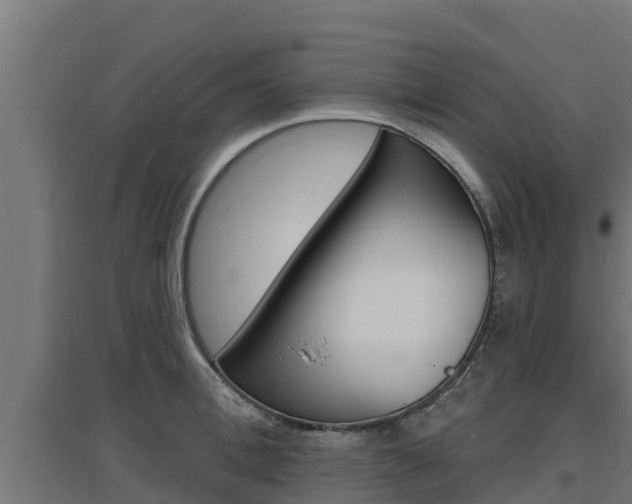 X0000097670996200802290941