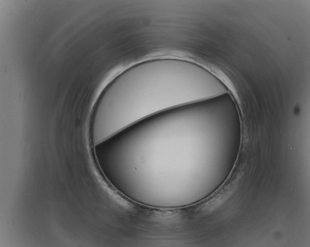 X0000097670997200802290941