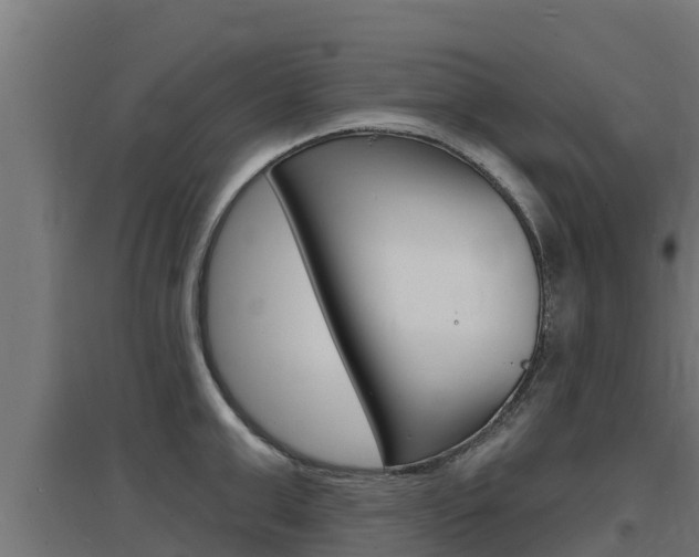 X0000097670999200802290941
