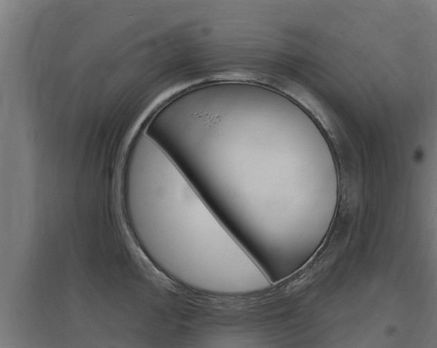 X0000097671000200802290941