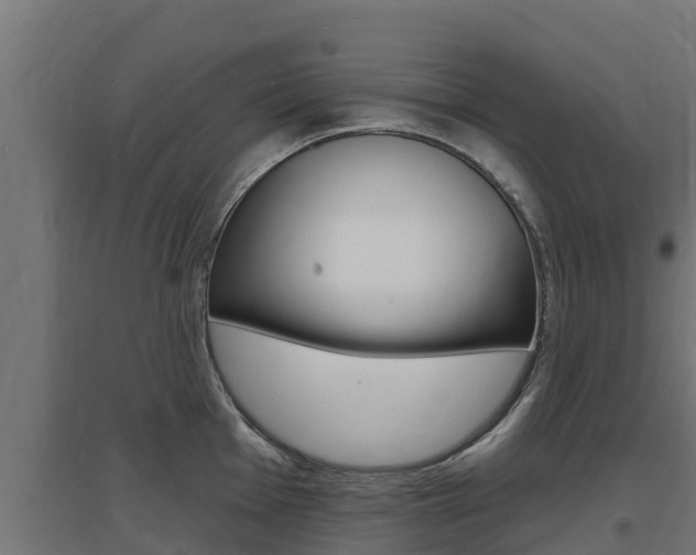 X0000097671001200802290941
