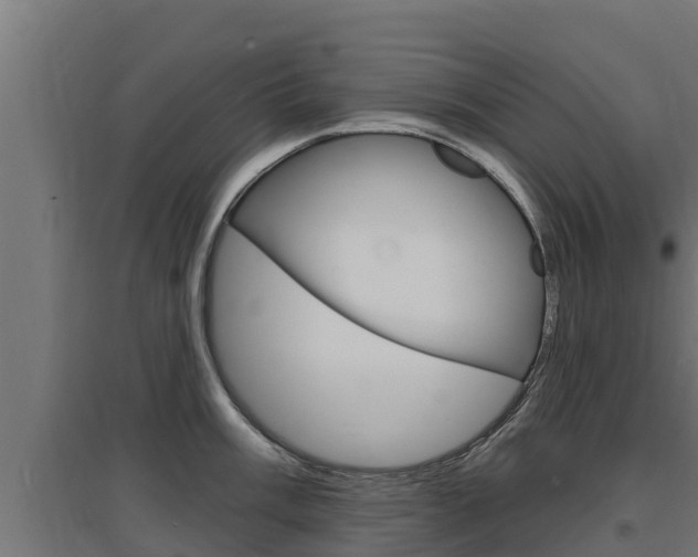 X0000097671003200802290941