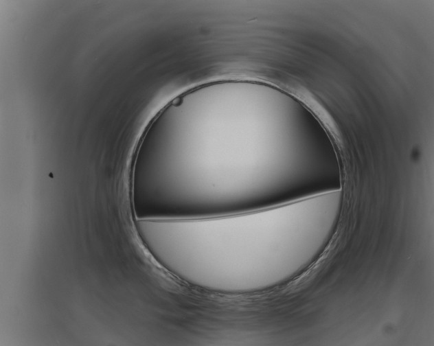 X0000097671004200802290941