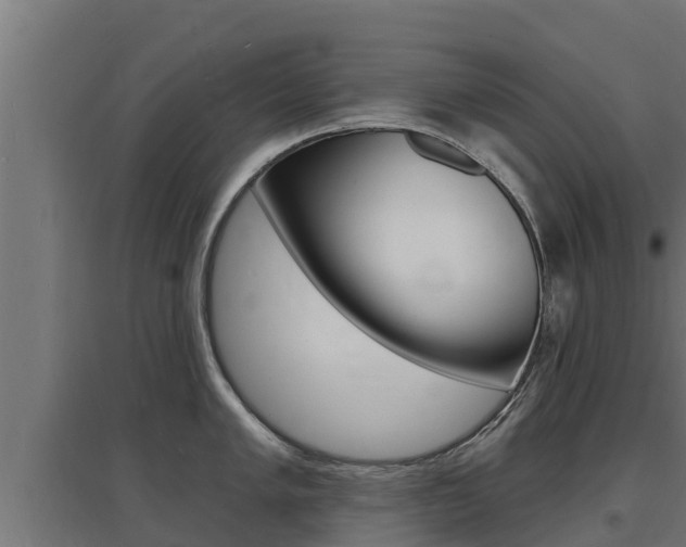 X0000097671005200802290941