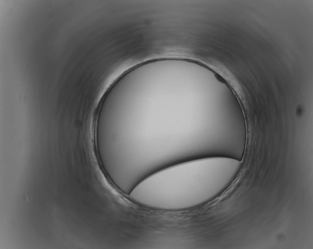X0000097671006200802290941