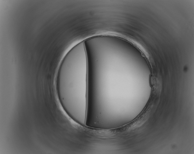 X0000097671007200802290941