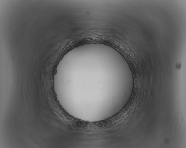 X0000097671009200802290940