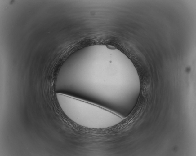 X0000097671010200802290940